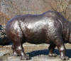 Rhino bronze