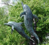 Two Dolphins with Coral bronze sculpture