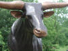 Texas Longhorn bronze reproduction
