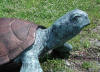 Sea Turtle Bronze statue