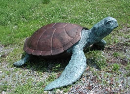 Sea Turtle Bronze
