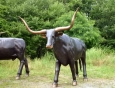 Texas Longhorn with head straight bronze