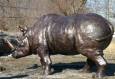 Rhino bronze sculpture