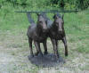 Two Horses bronze sculpture table