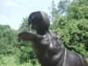 Hippo Bronze statue fountain