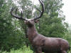Deer bronze