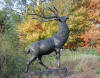 Giant Elk bronze statue