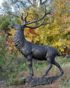 Giant Elk bronze