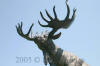 Moose Standing On Rock bronze statue