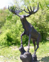 Moose Standing On Rock bronze sculpture