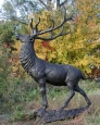 Giant Life Size Elk bronze statue