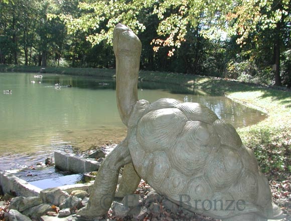 Bronze Galapagos Tortoise Fountain-3