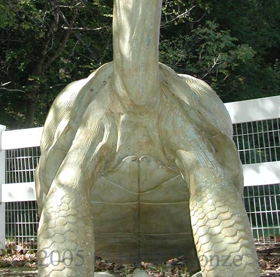 Bronze Galapagos Tortoise Fountain-6