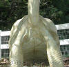 Galapagos Tortoise statue Fountain